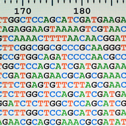 Microarray