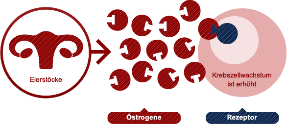 beruhmte mannliche brustkrebs