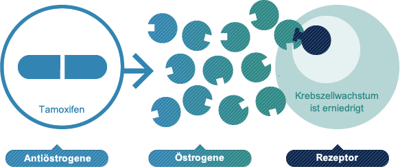 Antiöstrogene